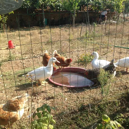 Nature Et Al House - Casa Uso Exclusivo E Jardim - Little Farm Batalha