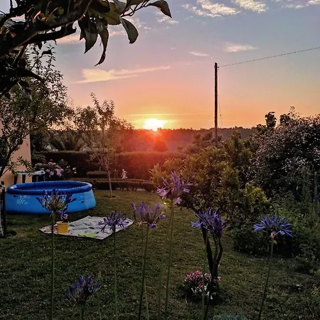 Nature Et Al House - Casa Uso Exclusivo E Jardim - Little Farm Bed & Breakfast