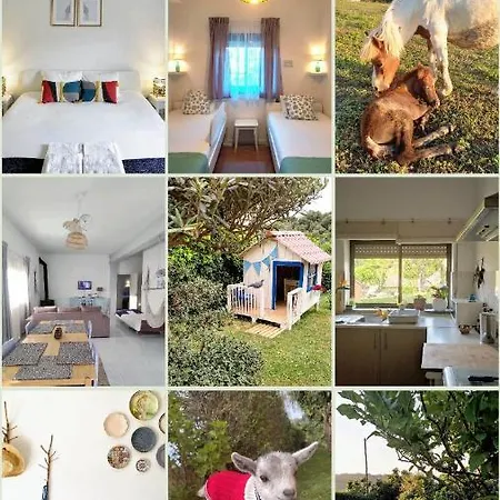 Nature Et Al House - Casa Uso Exclusivo E Jardim - Little Farm * Batalha