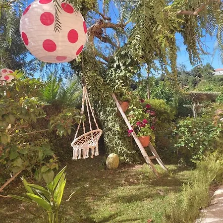 Nature Et Al House - Casa Uso Exclusivo E Jardim - Little Farm Bed and Breakfast Batalha