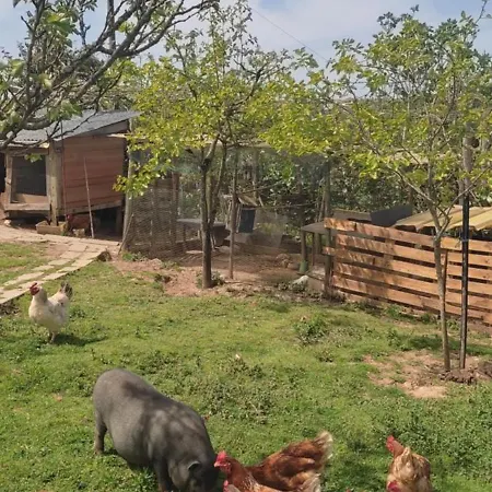 Nature Et Al House - Casa Uso Exclusivo E Jardim - Little Farm