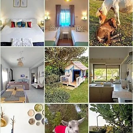 Bed and Breakfast Nature Et Al House - Casa Uso Exclusivo E Jardim - Little Farm