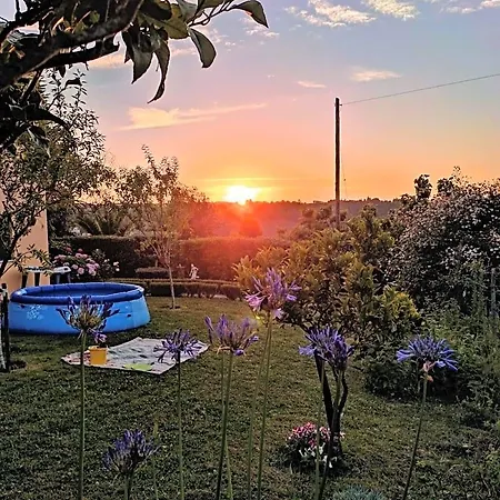 Nature Et Al House - Casa Uso Exclusivo E Jardim - Little Farm 4*