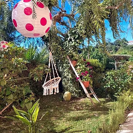Bed and Breakfast Nature Et Al House - Casa Uso Exclusivo E Jardim - Little Farm Batalha