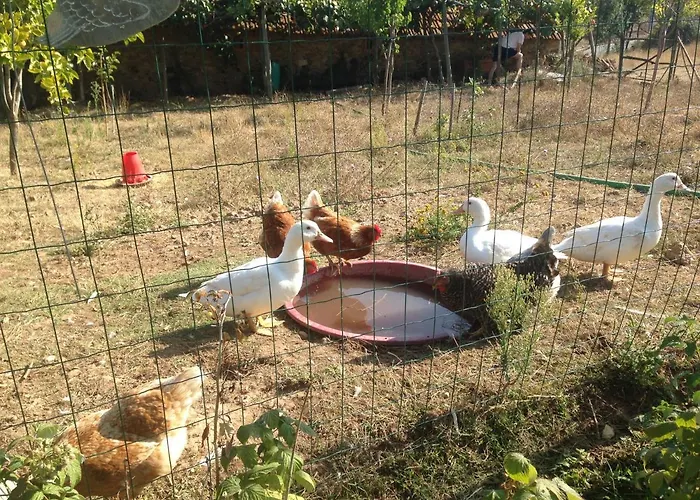 Nature Et Al House - Casa Uso Exclusivo E Jardim - Little Farm バターリャ