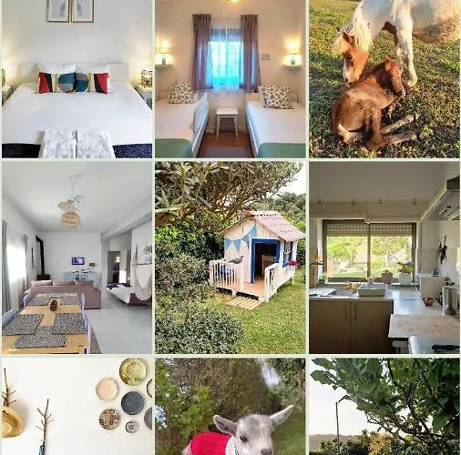 Nature Et Al House - Casa Uso Exclusivo E Jardim - Little Farm 4* バターリャ