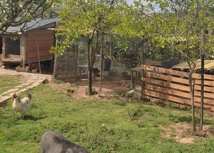 Nature Et Al House - Casa Uso Exclusivo E Jardim - Little Farm